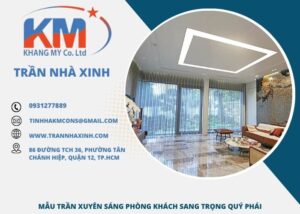 tran-xuyen-sang-phong-khach