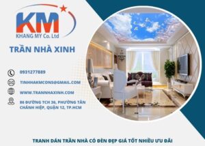 tranh-dan-tran-nha-co-den