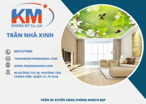Trần in xuyên sáng phòng khách đẹp