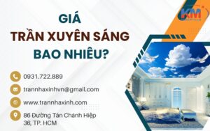 gia tran xuyen sang bao nhieu