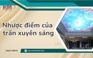 nhuoc diem cua tran xuyen sang