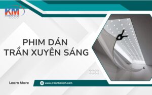 phim dan tran xuyen sang