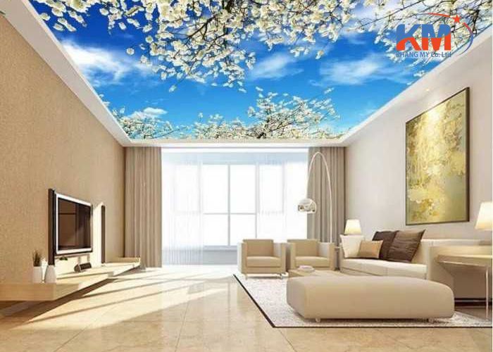 Báo giá trần xuyên sáng tại Bắc Giang (3) Báo giá trần xuyên sáng tại Bắc Giang (3)