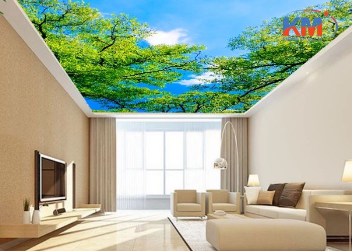 Báo giá trần xuyên sáng tại Bắc Giang (4) Báo giá trần xuyên sáng tại Bắc Giang (4)
