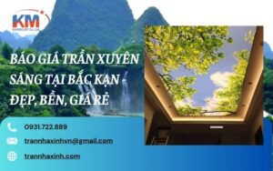 Báo giá trần xuyên sáng tại Bắc Kạn