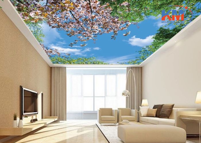 Báo giá trần xuyên sáng tại Bình Định (4)