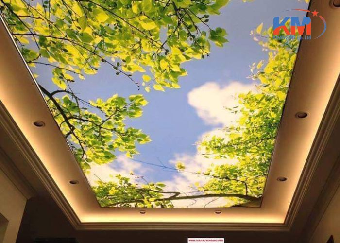 Báo giá trần xuyên sáng tại Bình Dương (1) Báo giá trần xuyên sáng tại Bình Dương (1)
