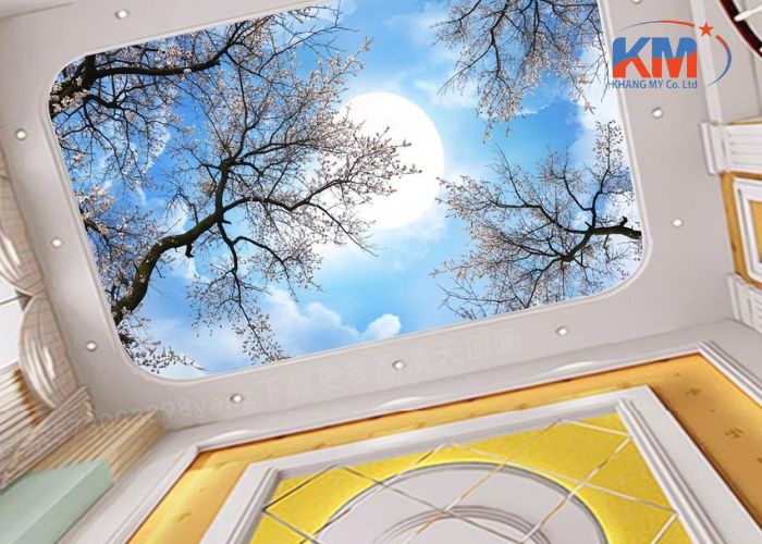 Báo giá trần xuyên sáng tại Bình Dương (3) Báo giá trần xuyên sáng tại Bình Dương (3)