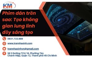 phim dán trần sao