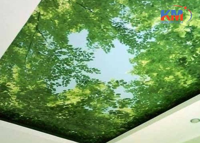 phim dán trần xuyên sáng tại TPHCM (1) phim dán trần xuyên sáng tại TPHCM (1)