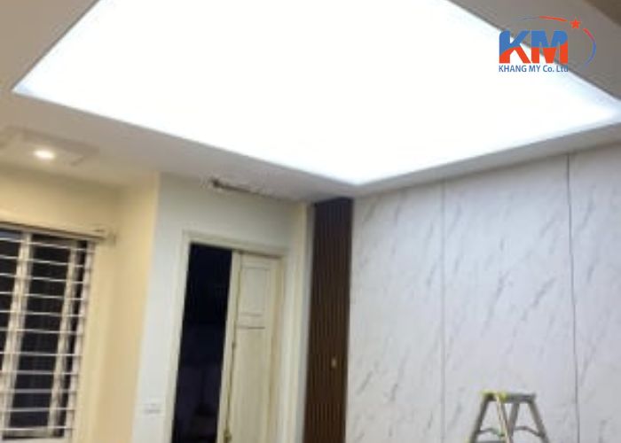 trần nhựa xuyên sáng TPHCM (2) trần nhựa xuyên sáng TPHCM (2)