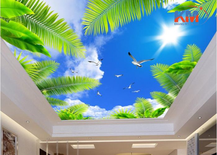 tư vấn chọn trần nhà 3D (1) tư vấn chọn trần nhà 3D (1)