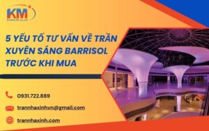 tư vấn về trần xuyên sáng Barrisol