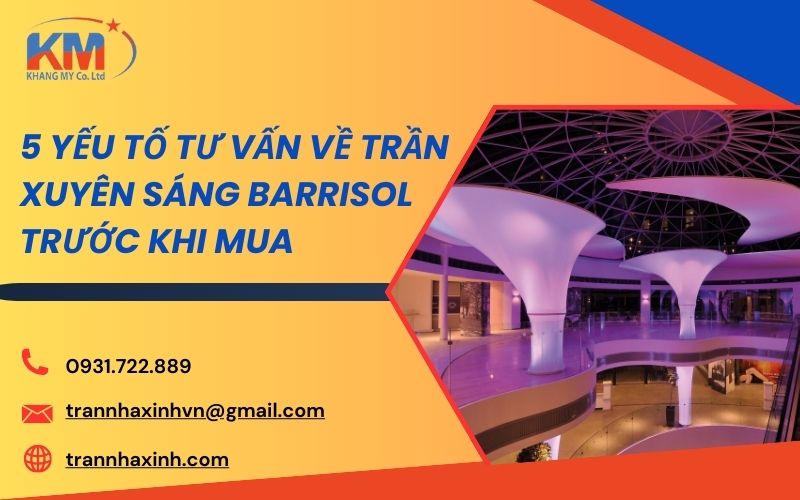 tư vấn về trần xuyên sáng Barrisol