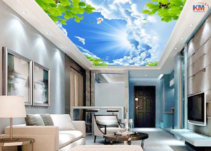 tran xuyen sang tai soc trang (2)